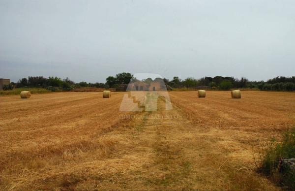 Terratetto unifamiliare in Strada Comunale Matine I, Specchia — foto 4 di 5