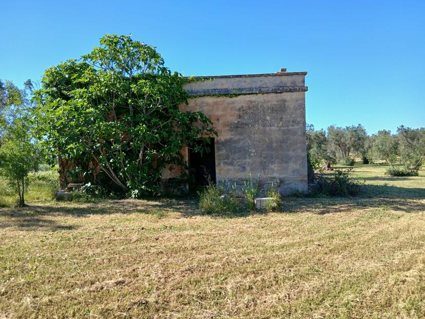 Casale in C.da Grottole, Latiano — foto 3 di 5
