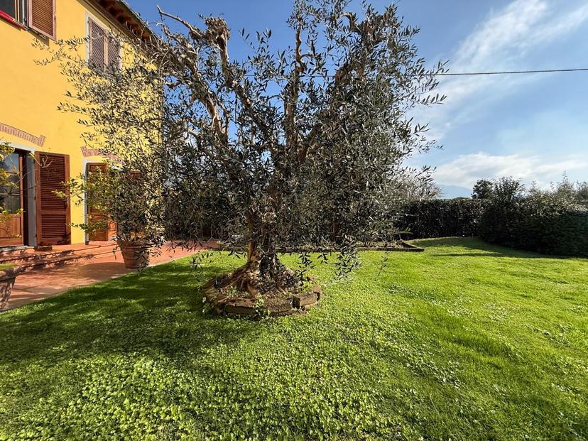 Rustico, San Giuliano Terme — foto 4 di 5