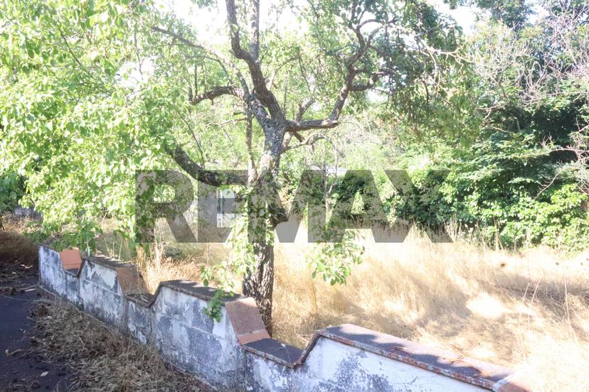 Villa in Contrada San Leo Snc, Belpasso — foto 2 di 5