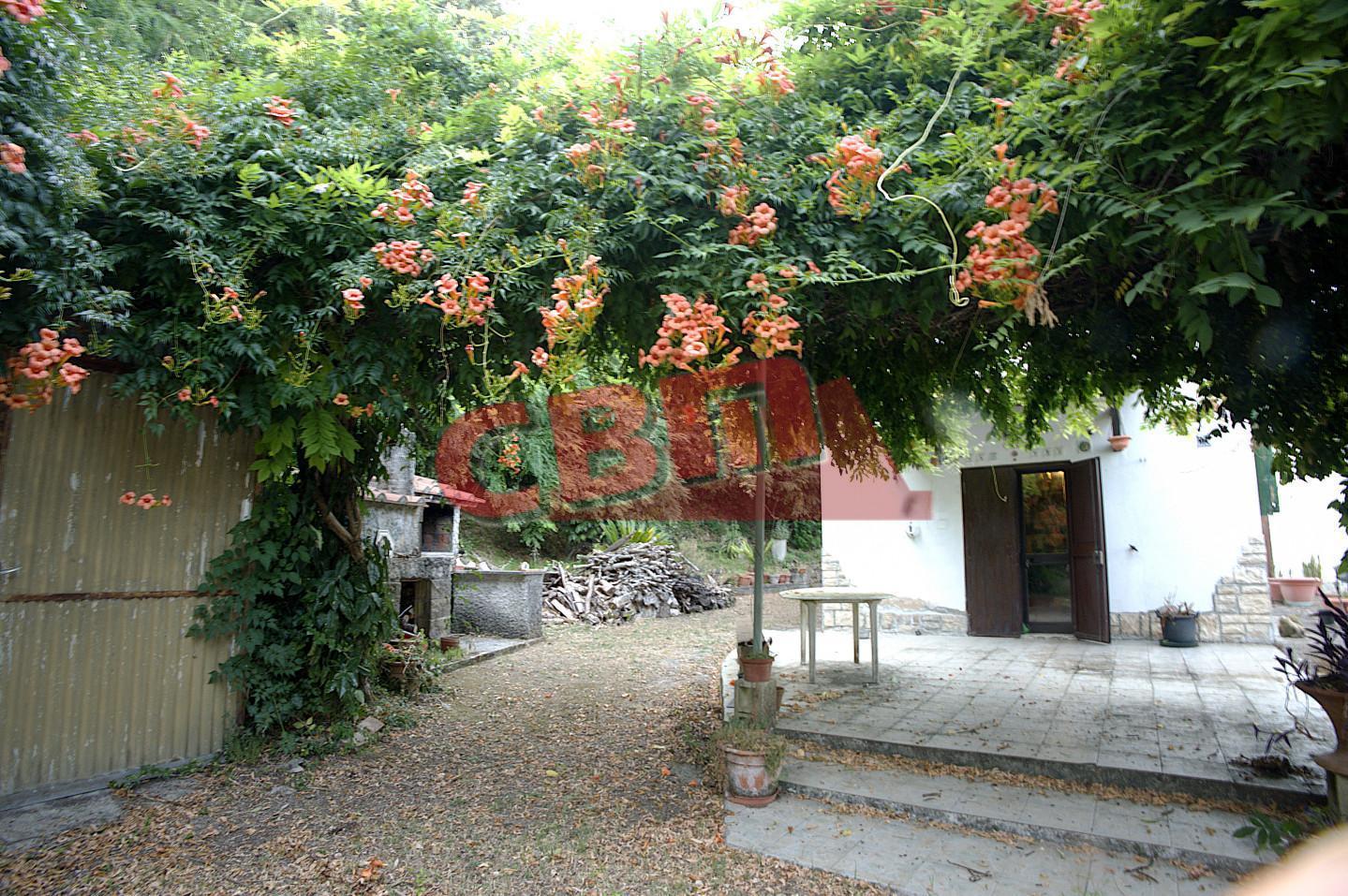 Terratetto, Fauglia