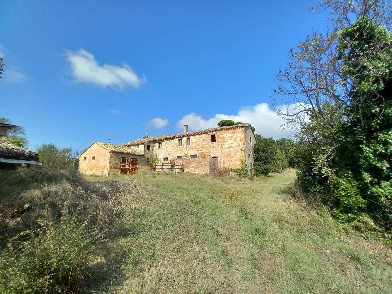 Rustico, Osimo