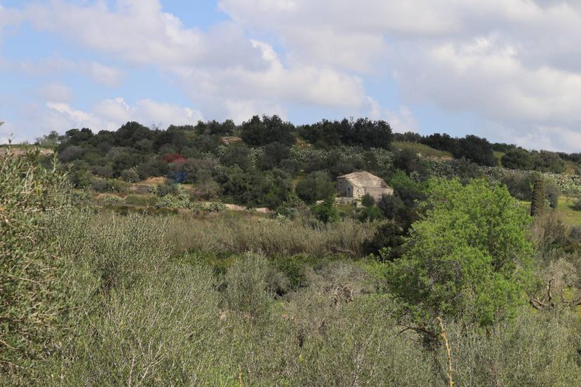 Rustico in C.da S.Silvestro Snc, Vittoria — foto 2 di 5