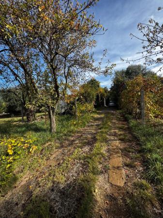 Rustico in Via Cancellata Grande, Zagarolo — foto 2 di 5