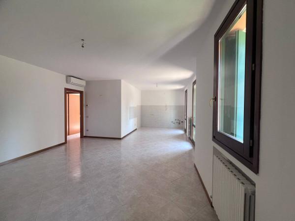 Trilocale, Lonigo — foto 4 di 5