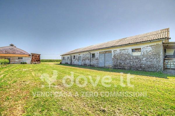 Terratetto unifamiliare in Via Peschiera 3, Bagnara di Romagna