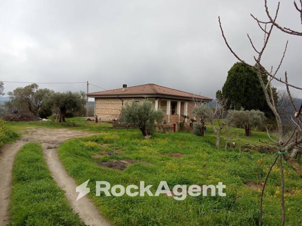 Terratetto unifamiliare, Mammola — foto 2 di 5