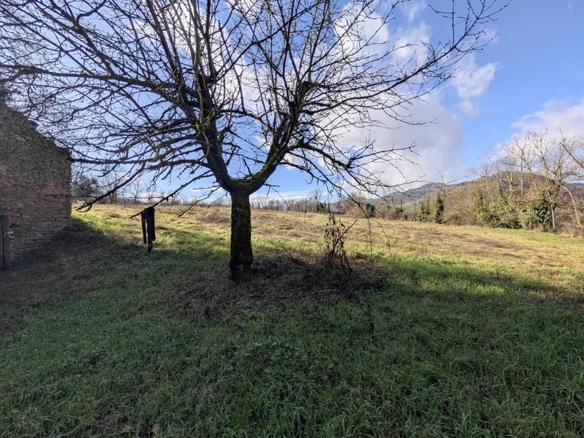 Porzione di casa in Strada Sanzola 138, Mercato Saraceno — foto 5 di 5