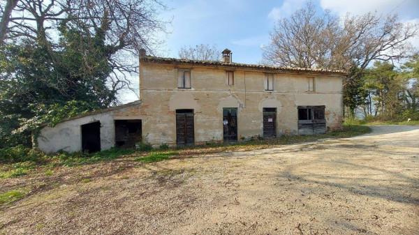 Casa colonica, Mondavio — foto 4 di 4