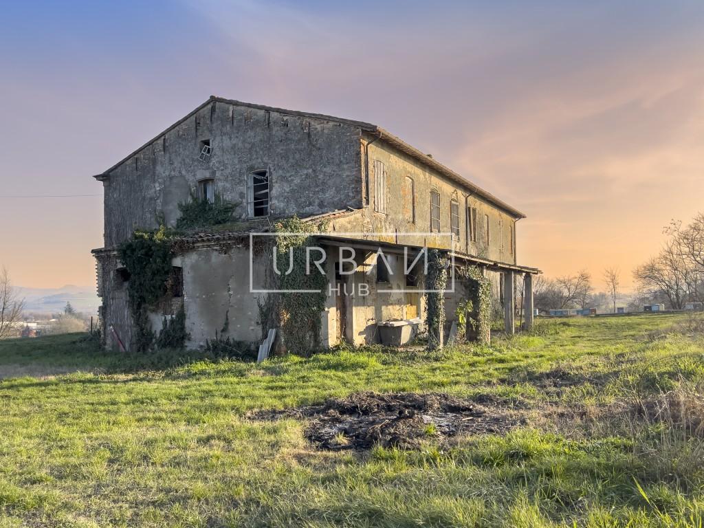 Rustico, Forlì