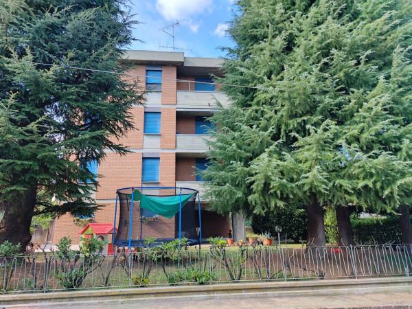 Appartamento in Via Vescovada, Vignola — foto 5 di 5