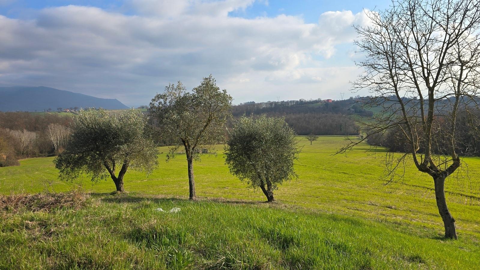 Rustico in Via Dante Alighieri 13, Acquasparta