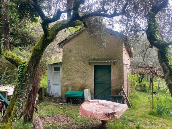 Rustico, Follo