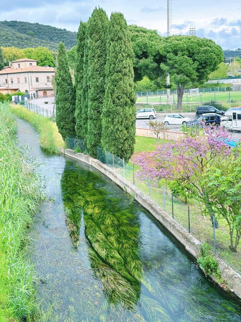 Bilocale, Campiglia Marittima — foto 5 di 5
