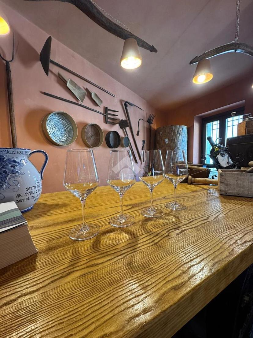 Casa indipendente in Localita Santa Barbara, Belmonte Calabro — foto 4 di 5