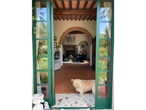Rustico, Montespertoli — foto 3 di 5