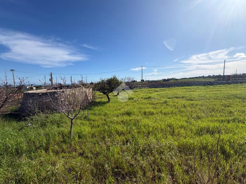 Villa in Contrada Macchie, Polignano a Mare — foto 4 di 5