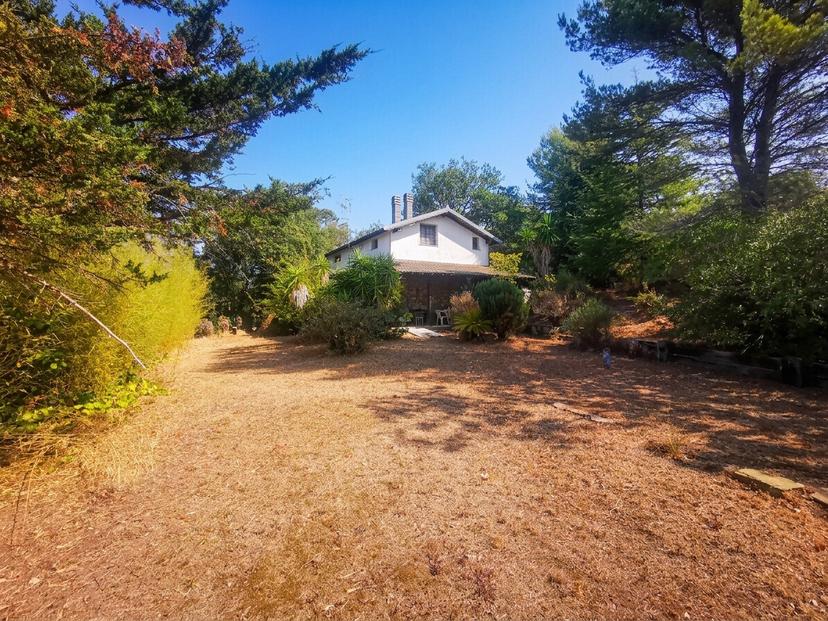 Casa indipendente, Diano Arentino — foto 2 di 5
