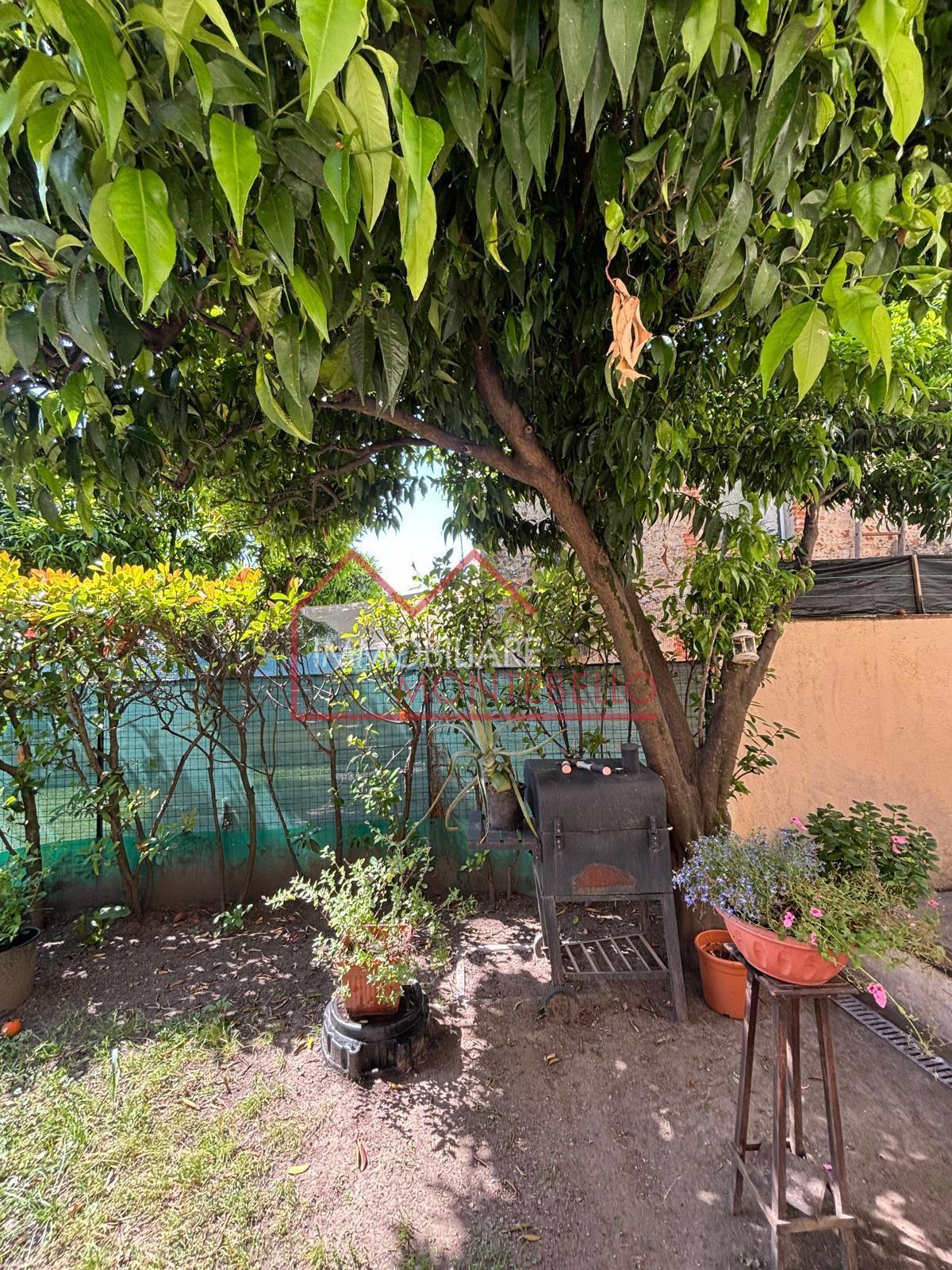 Terratetto in It, Camaiore