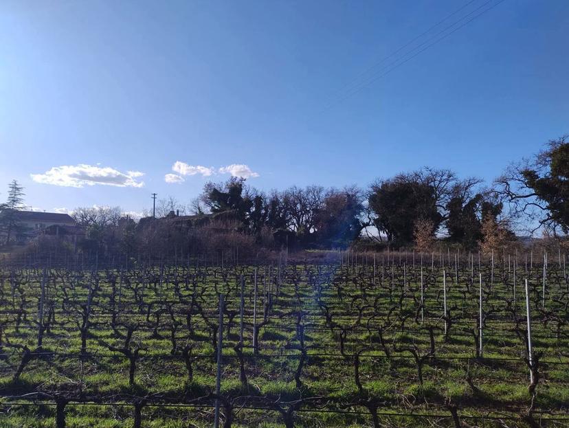 Rustico in Località Campagna 1, Torgiano — foto 5 di 5