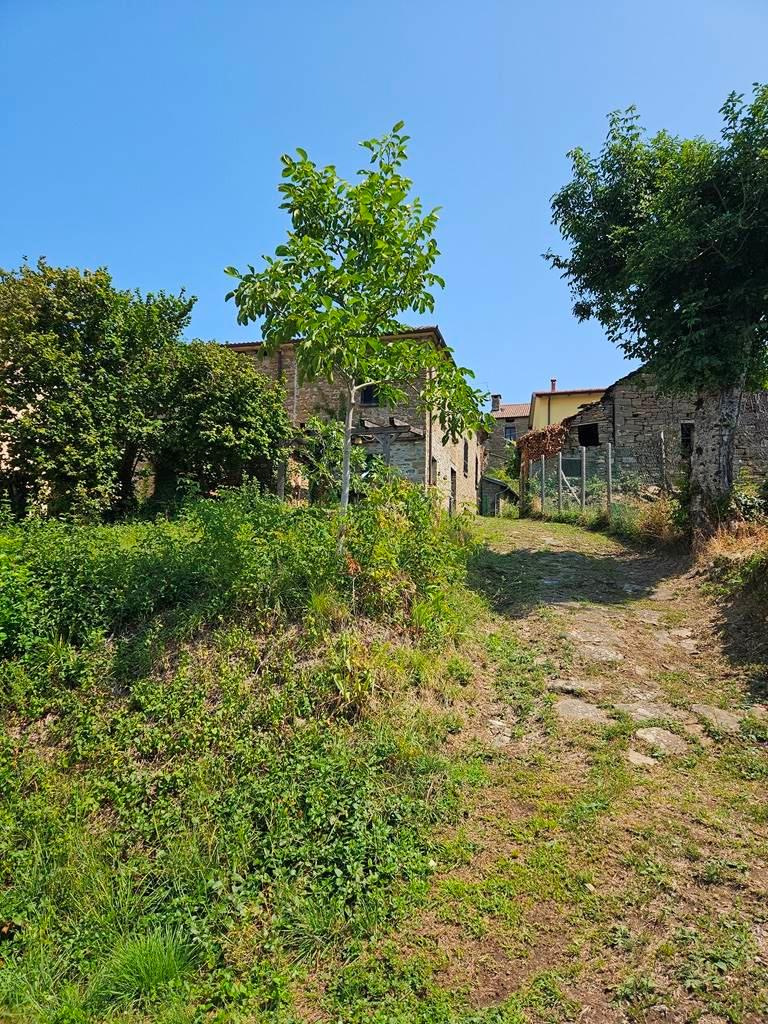 Rustico, Bardi