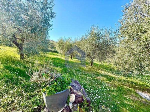 Villa in Contrada San Marco 32, Casacanditella — foto 4 di 5