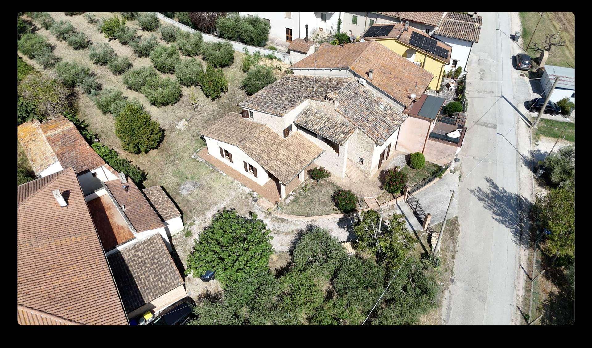 Rustico, Montefalco