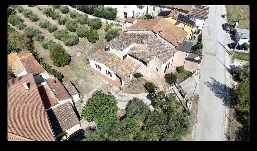 Rustico, Montefalco