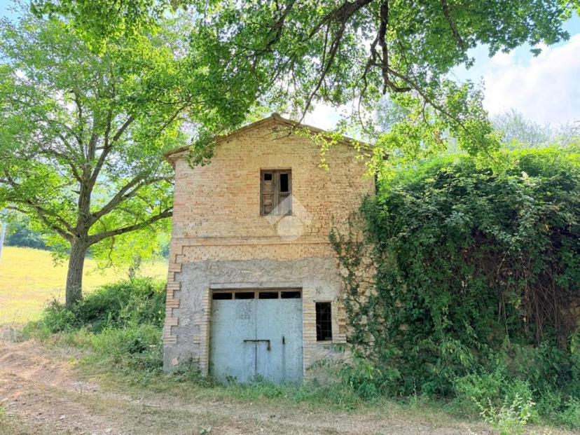 Rustico in Via Fontevecchia, Montasola — foto 4 di 5