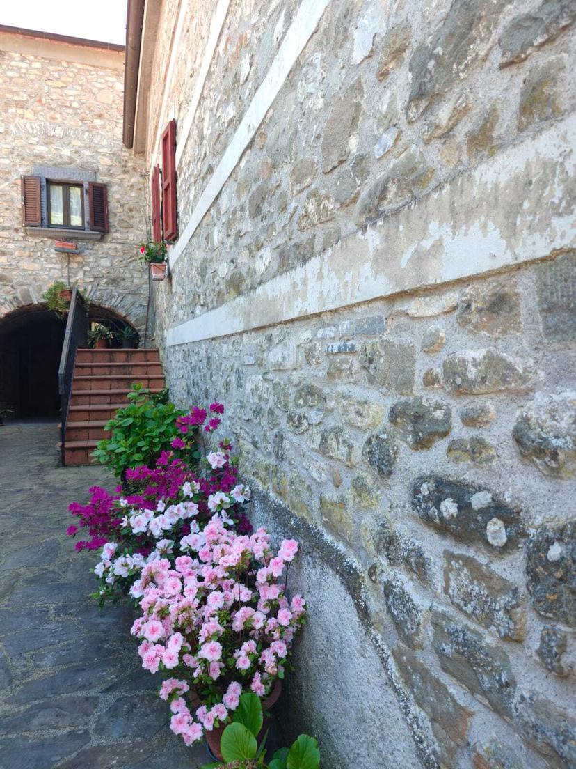 Casa indipendente, Licciana Nardi — foto 3 di 5