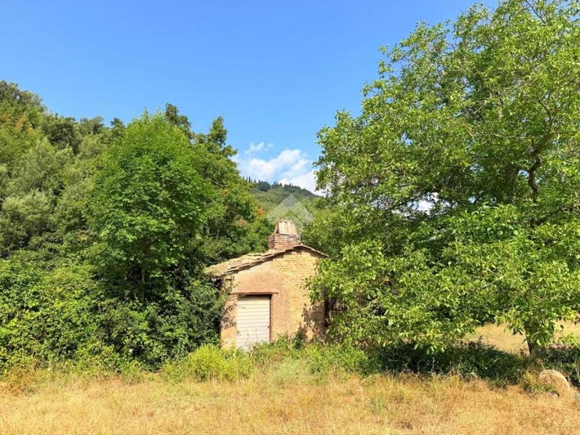 Rustico in Via Fontevecchia, Montasola — foto 5 di 5