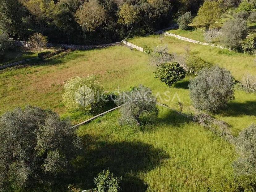 Trullo in Viale Valle d'Itria S.N.C., Cisternino — foto 2 di 5