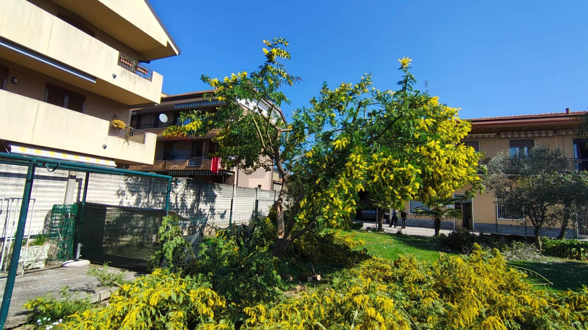 Trilocale in Via Tagliabue 71, Desio