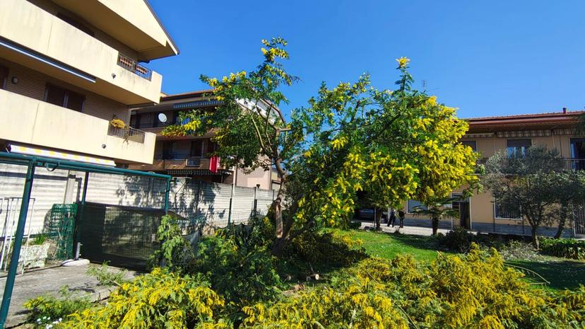 Trilocale in Via Tagliabue 71, Desio
