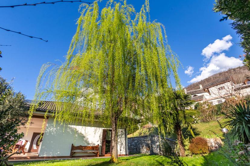 Villa in Fraz. Cresta 2b, Masera — foto 3 di 5