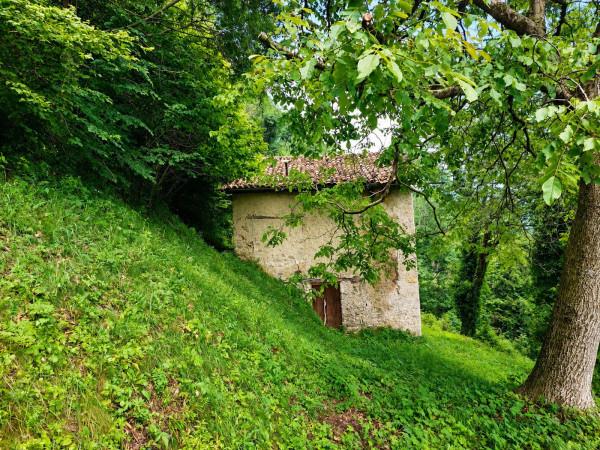 Cascina, Pertica Bassa — foto 4 di 5