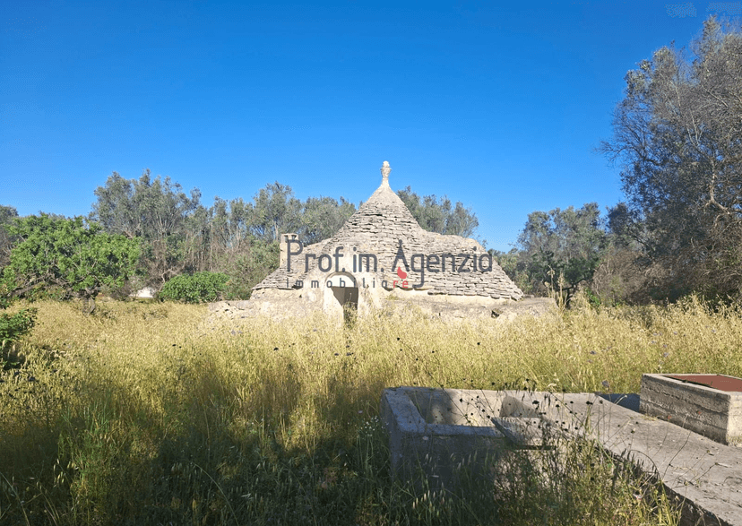 Rustico, San Vito dei Normanni — foto 5 di 5