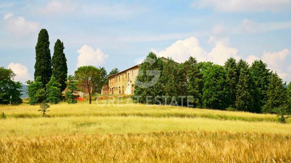 Casale in Via Vecciano, Cetona — foto 5 di 5