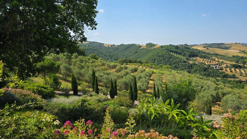 Rustico, Allerona — foto 2 di 5