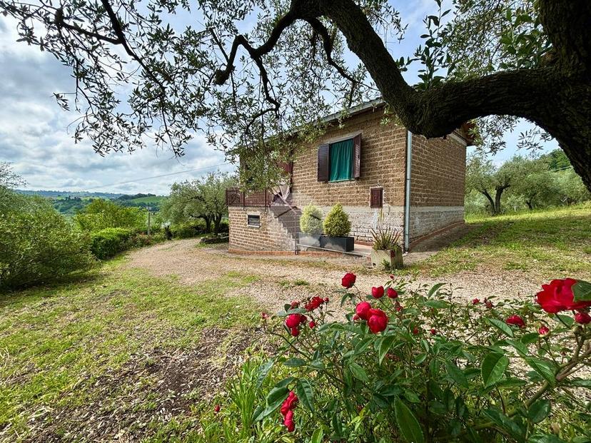 Casa indipendente in Strada S. Pietro 114, Otricoli — foto 2 di 5