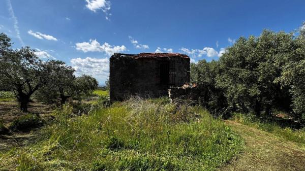 Rustico in Via di Colonna, San Cesareo — foto 2 di 5