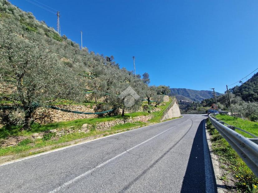 Villa in Localita' Progallo, Montalto Carpasio — foto 2 di 5