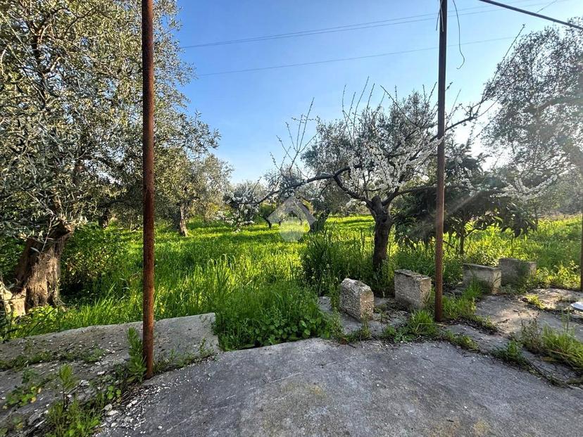 Rustico in V. Donato De Bari, Molfetta — foto 4 di 5