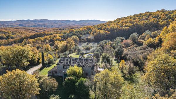 Casale in Vocabolo Cellaro, Montegabbione — foto 3 di 5