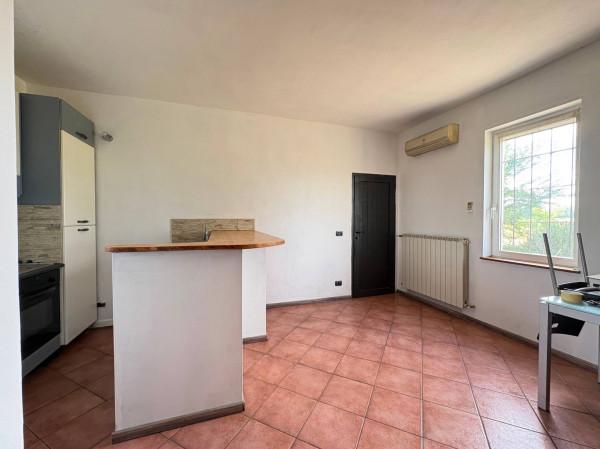 Terratetto unifamiliare, San Giorgio Piacentino — foto 4 di 5