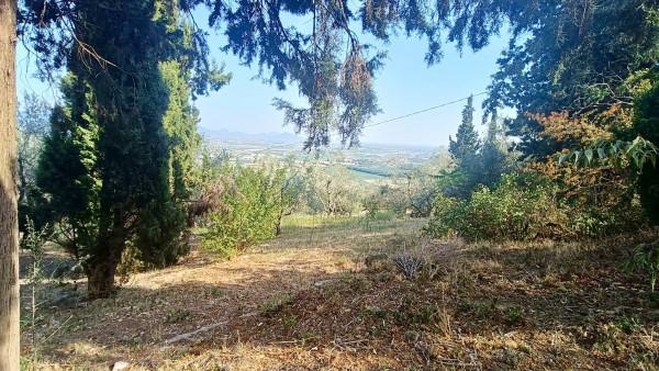 Terratetto plurifamiliare in Via Mandolare, Villaga — foto 4 di 5