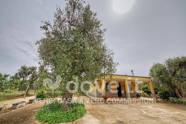 Villa in Contrada Carlo di Noi Inferiore, Snc, Francavilla Fontana — foto 5 di 5