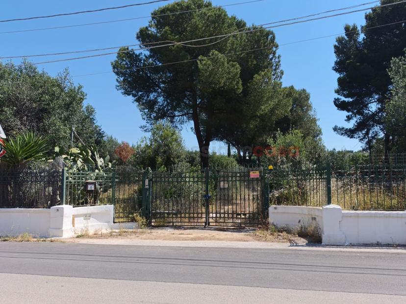 Villa in Viale della Costituzione 26, Grottaglie — foto 3 di 5