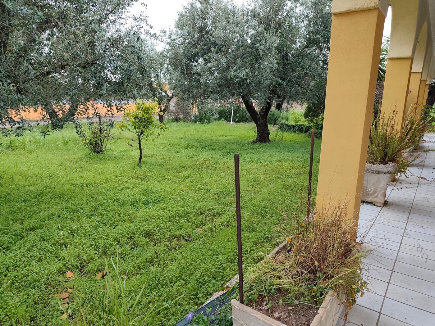 Villa in Via Pendinelli, Torricella