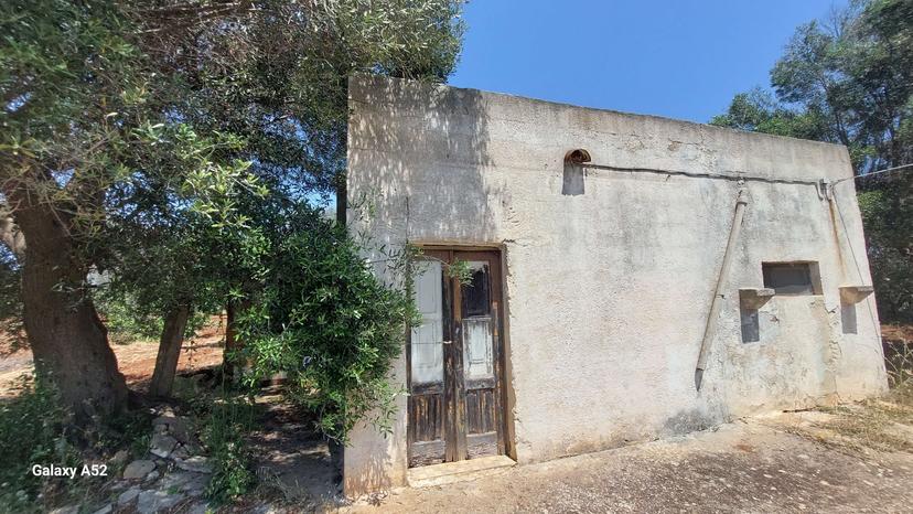 Rustico, San Vito dei Normanni — foto 3 di 5